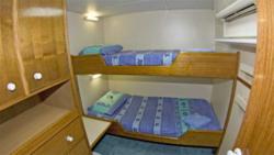 Mike Ball Spoilsport - Budget Cabin